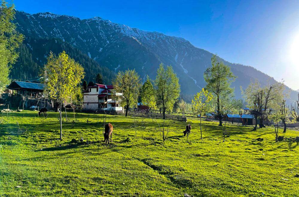 Kashmir Escape