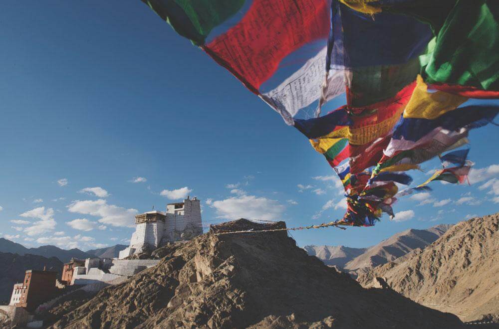 Himalayan Escape