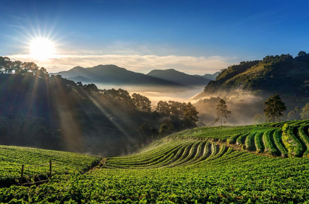 Essence of Kerala
