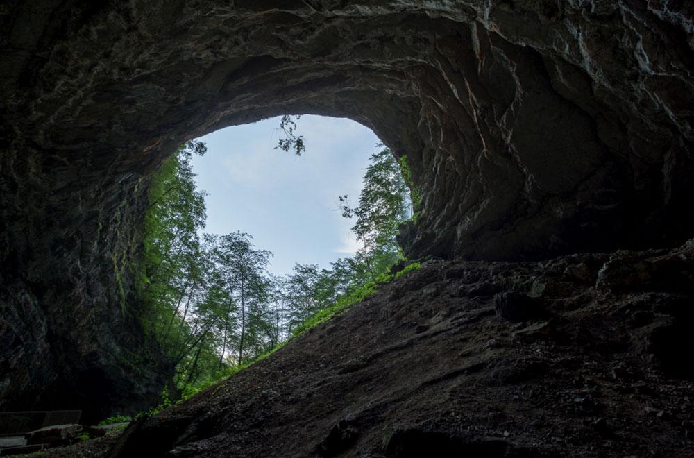 Kerala Explorer